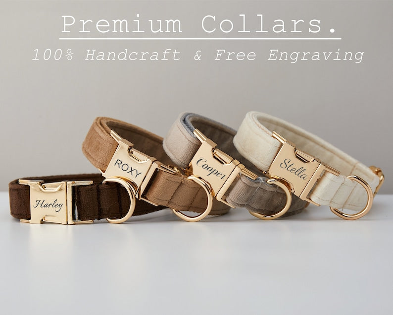 Multiple Collarpaws™ Colour Velvet Personalise Dog Collar Leash Set With Bow