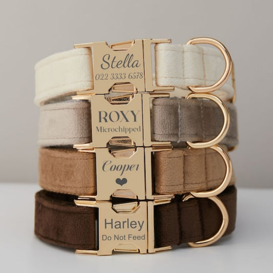 Multiple Collarpaws™ Colour Velvet Personalise Dog Collar Leash Set With Bow