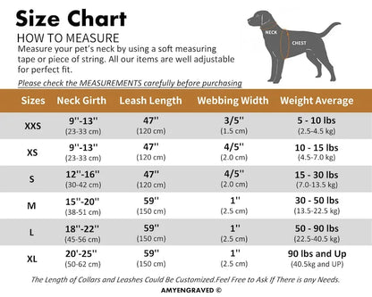 Multiple Collarpaws™ Colour Velvet Personalise Dog Collar Leash Set With Bow