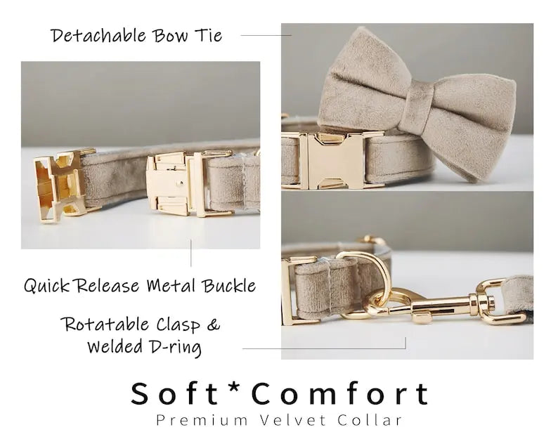 Multiple Collarpaws™ Colour Velvet Personalise Dog Collar Leash Set With Bow